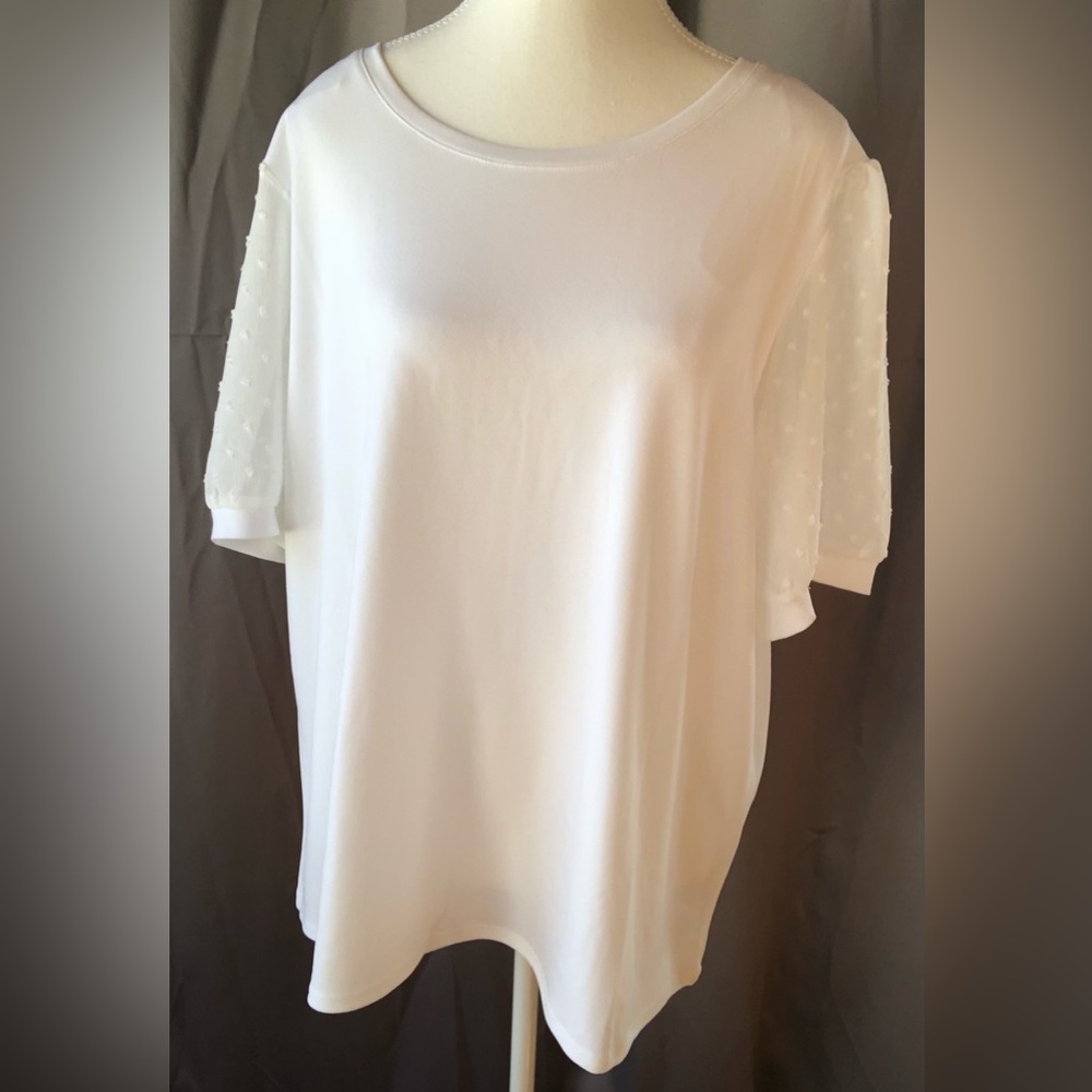 Premise Swiss Dot Puff Sleeve Top 🤍 - Picture 4 of 10